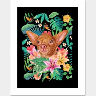 Tropical Short Haired Red Chihuahua Posters and Art